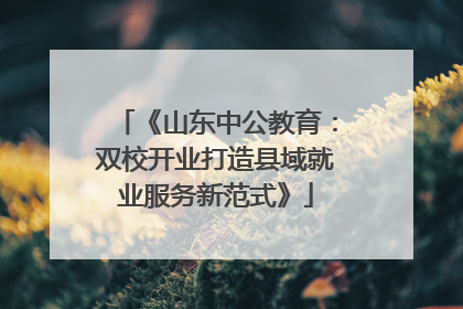 《山东中公教育：双校开业打造县域就业服务新范式》