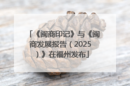《闽商印记》与《闽商发展报告（2025）》在福州发布