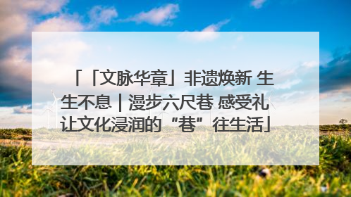 「文脉华章」非遗焕新 生生不息｜漫步六尺巷 感受礼让文化浸润的“巷”往生活