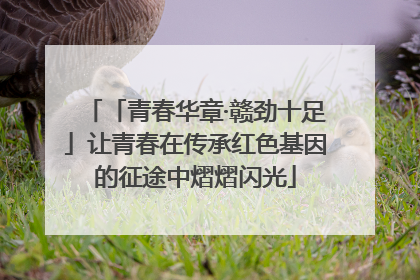 「青春华章·赣劲十足」让青春在传承红色基因的征途中熠熠闪光