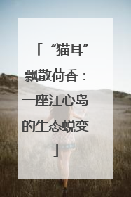 “猫耳”飘散荷香：一座江心岛的生态蜕变
