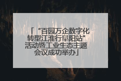 “百园万企数字化转型江淮行阜阳站”活动暨工业生态主题会议成功举办