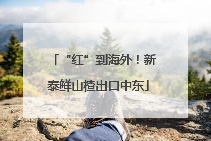 “红”到海外！新泰鲜山楂出口中东