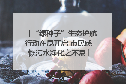 “绿种子”生态护航行动在昆开启 市民感慨污水净化之不易