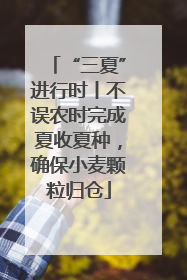 “三夏”进行时丨不误农时完成夏收夏种，确保小麦颗粒归仓