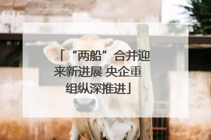 “两船”合并迎来新进展 央企重组纵深推进