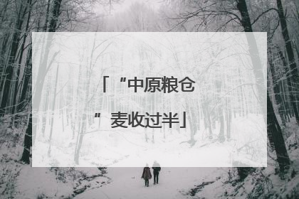 “中原粮仓”麦收过半