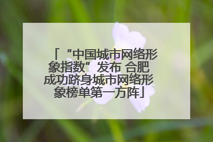 “中国城市网络形象指数”发布 合肥成功跻身城市网络形象榜单第一方阵