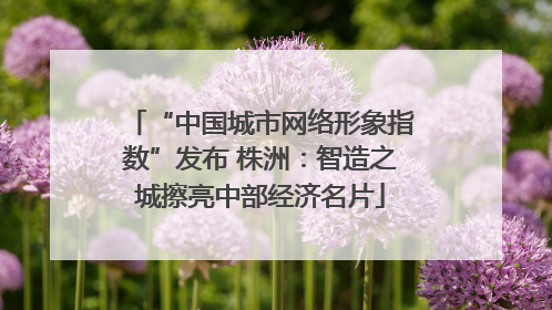 “中国城市网络形象指数”发布 株洲：智造之城擦亮中部经济名片