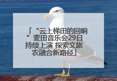 “云上梯田的回响”麦田音乐会29日持续上演 探索文旅农融合新路径