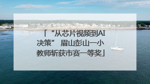 “从芯片视频到AI决策” 眉山彭山一小教师斩获市赛一等奖