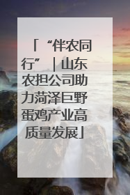 “伴农同行”｜山东农担公司助力菏泽巨野蛋鸡产业高质量发展