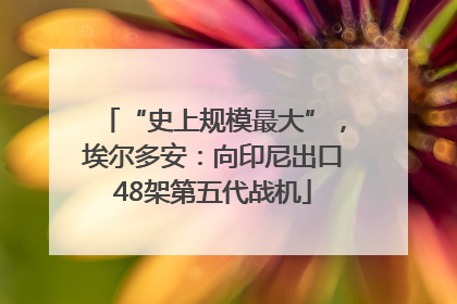 “史上规模最大”，埃尔多安：向印尼出口48架第五代战机