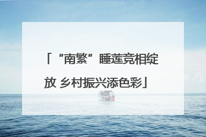“南繁”睡莲竞相绽放 乡村振兴添色彩