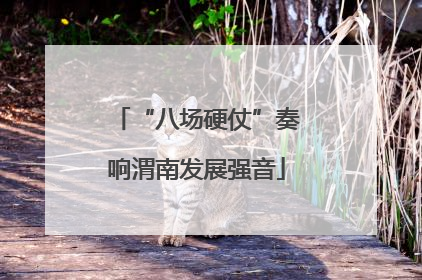 “八场硬仗”奏响渭南发展强音