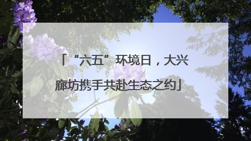“六五”环境日，大兴廊坊携手共赴生态之约