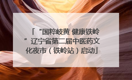 “国粹岐黄 健康铁岭”辽宁省第二届中医药文化夜市（铁岭站）启动