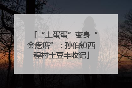 “土蛋蛋”变身“金疙瘩”：孙伯镇西程村土豆丰收记