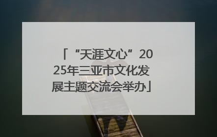 “天涯文心”2025年三亚市文化发展主题交流会举办