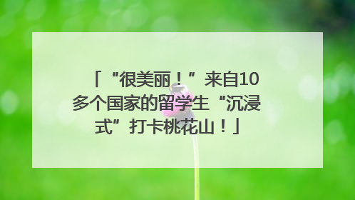 “很美丽！”来自10多个国家的留学生“沉浸式”打卡桃花山！