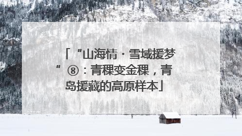 “山海情・雪域援梦”⑧：青稞变金稞，青岛援藏的高原样本