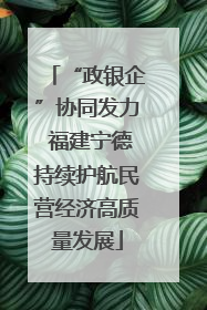 “政银企”协同发力 福建宁德持续护航民营经济高质量发展