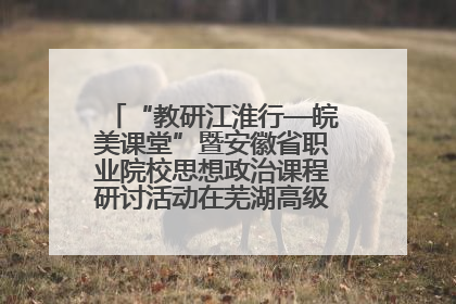 “教研江淮行—皖美课堂”暨安徽省职业院校思想政治课程研讨活动在芜湖高级职业技术学校举行