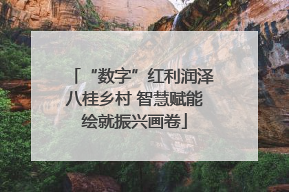 “数字”红利润泽八桂乡村 智慧赋能绘就振兴画卷