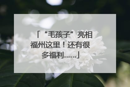 “毛孩子”亮相福州这里！还有很多福利……