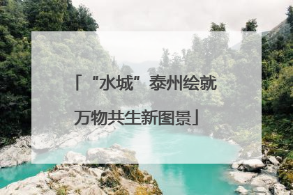 “水城”泰州绘就万物共生新图景
