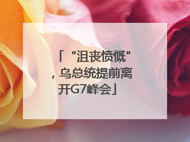 “沮丧愤慨”，乌总统提前离开G7峰会