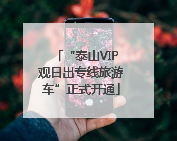 “泰山VIP观日出专线旅游车”正式开通
