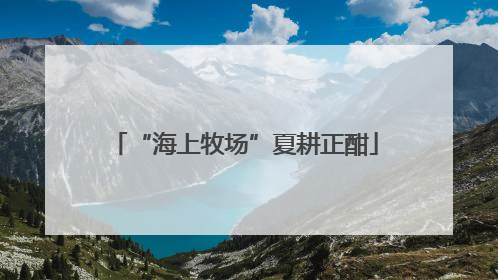 “海上牧场”夏耕正酣