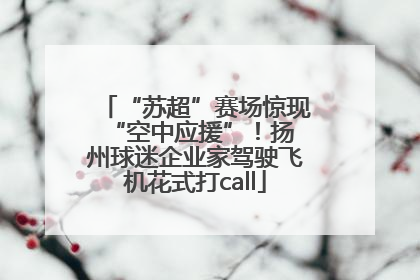 “苏超”赛场惊现 “空中应援”！扬州球迷企业家驾驶飞机花式打call