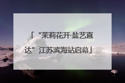 “茉莉花开·盐艺直达”江苏滨海站启幕