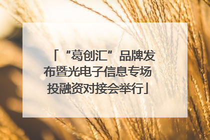 “葛创汇”品牌发布暨光电子信息专场投融资对接会举行