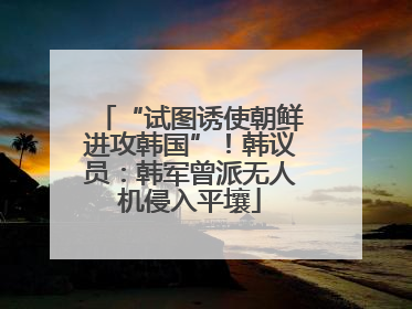 “试图诱使朝鲜进攻韩国”！韩议员：韩军曾派无人机侵入平壤