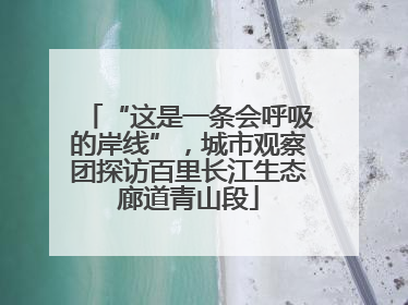 “这是一条会呼吸的岸线”，城市观察团探访百里长江生态廊道青山段
