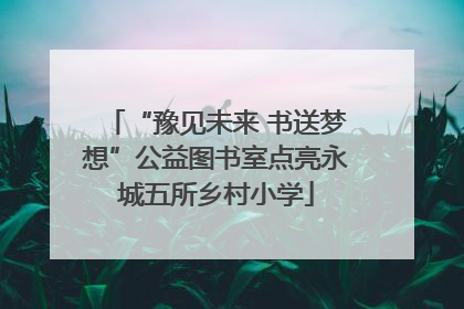 “豫见未来 书送梦想”公益图书室点亮永城五所乡村小学