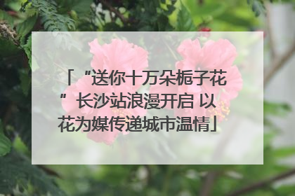 “送你十万朵栀子花”长沙站浪漫开启 以花为媒传递城市温情