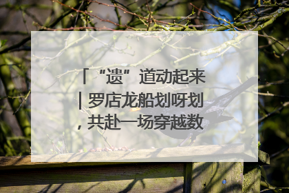 “遗”道动起来｜罗店龙船划呀划，共赴一场穿越数百年的端午之约
