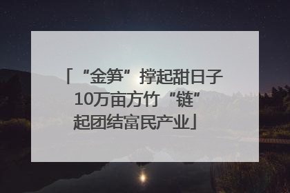 “金笋”撑起甜日子 10万亩方竹“链”起团结富民产业