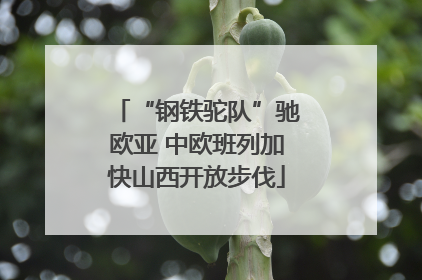 “钢铁驼队”驰欧亚 中欧班列加快山西开放步伐