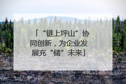 “链上坪山”协同创新，为企业发展充“储”未来