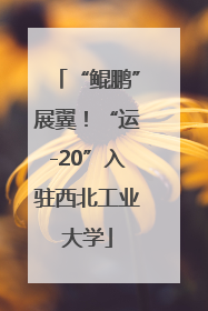 “鲲鹏”展翼！“运-20”入驻西北工业大学