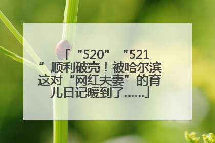 “520”“521”顺利破壳！被哈尔滨这对“网红夫妻”的育儿日记暖到了……