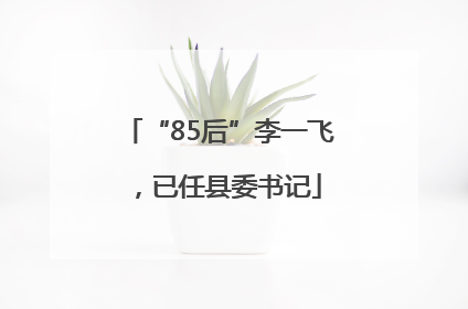“85后”李一飞，已任县委书记