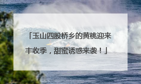 玉山四股桥乡的黄桃迎来丰收季，甜蜜诱惑来袭！