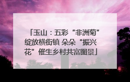 玉山：五彩“非洲菊”绽放横街镇 朵朵“振兴花”催生乡村共富图景
