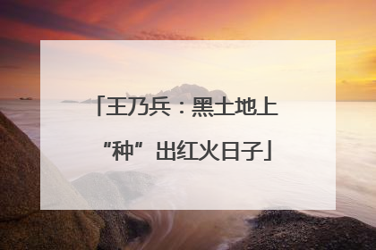 王乃兵：黑土地上“种”出红火日子